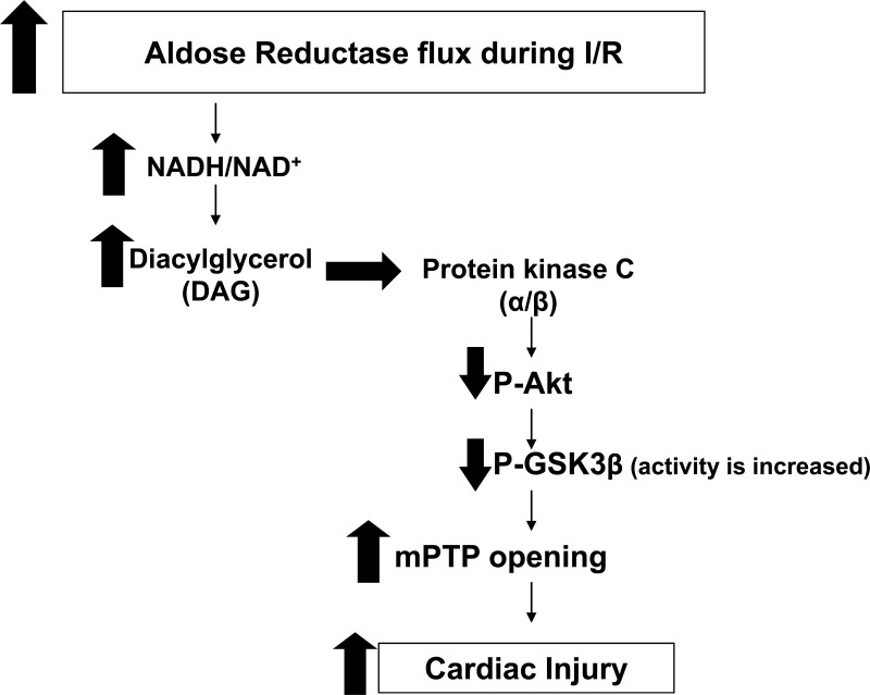 Fig. 8.