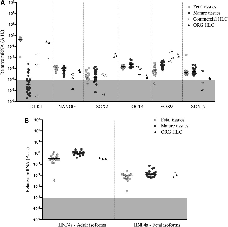 FIG. 6.