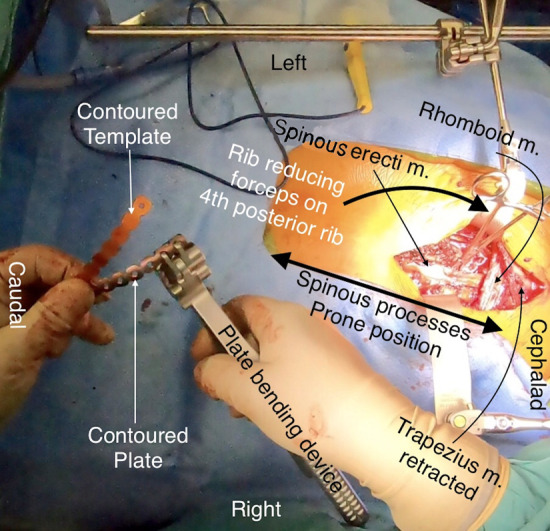 Fig. 6