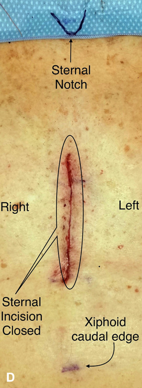 Fig. 8-D