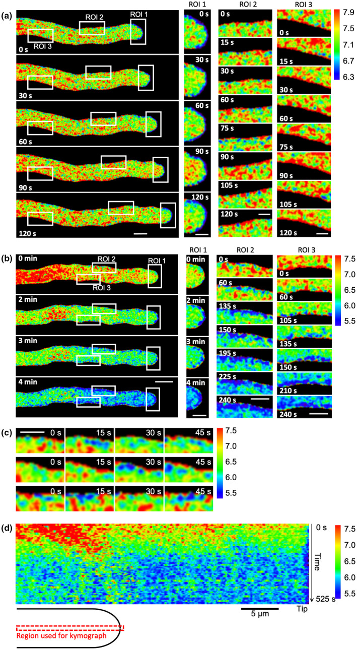 Fig. 7