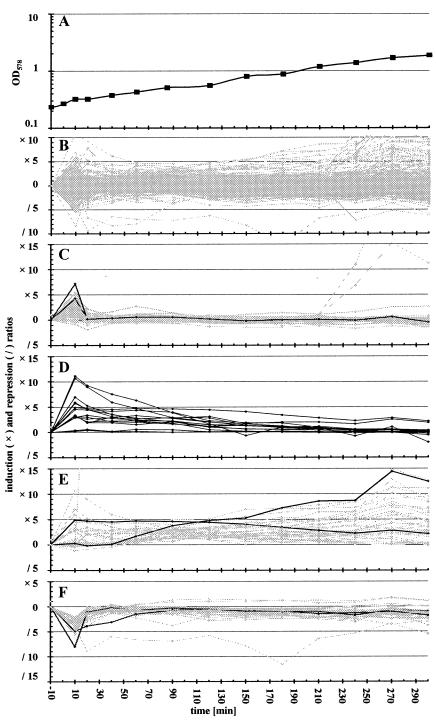 FIG. 5.