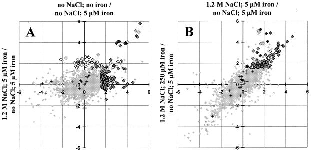 FIG. 2.