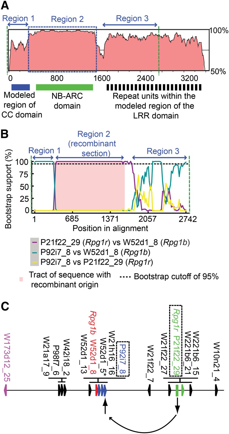 Figure 4.