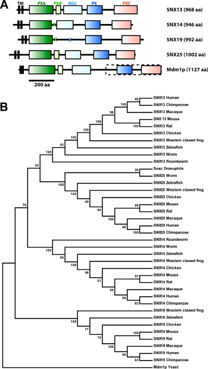 FIGURE 2.