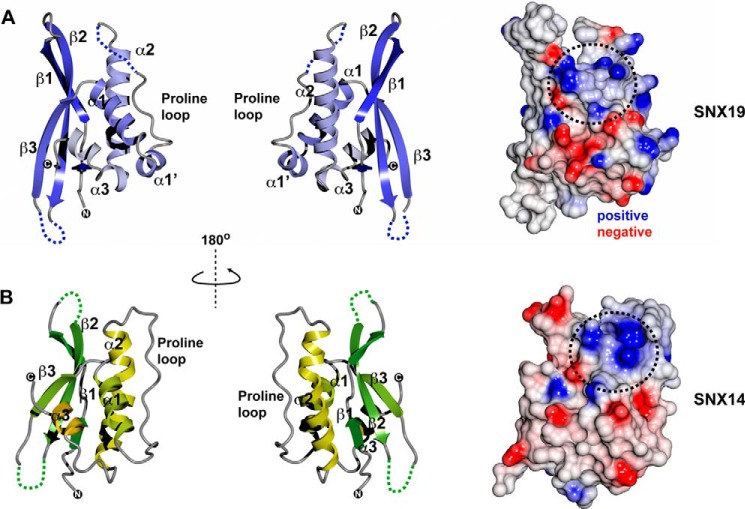 FIGURE 5.