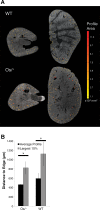 Fig. 6.