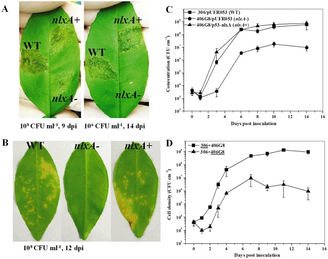 Figure 6