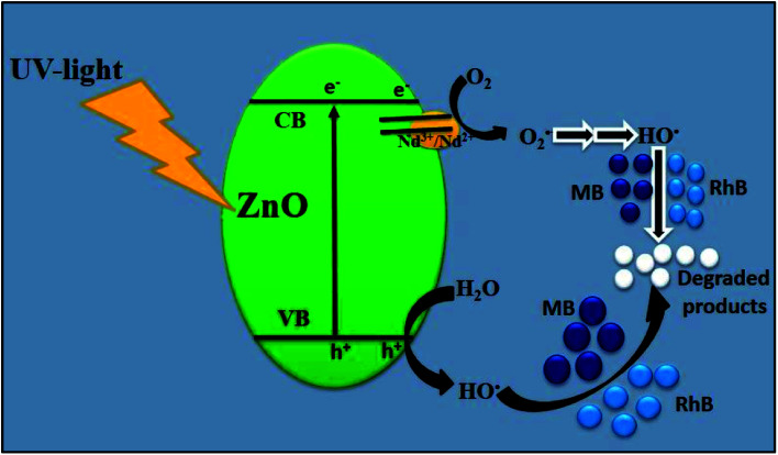 Fig. 12