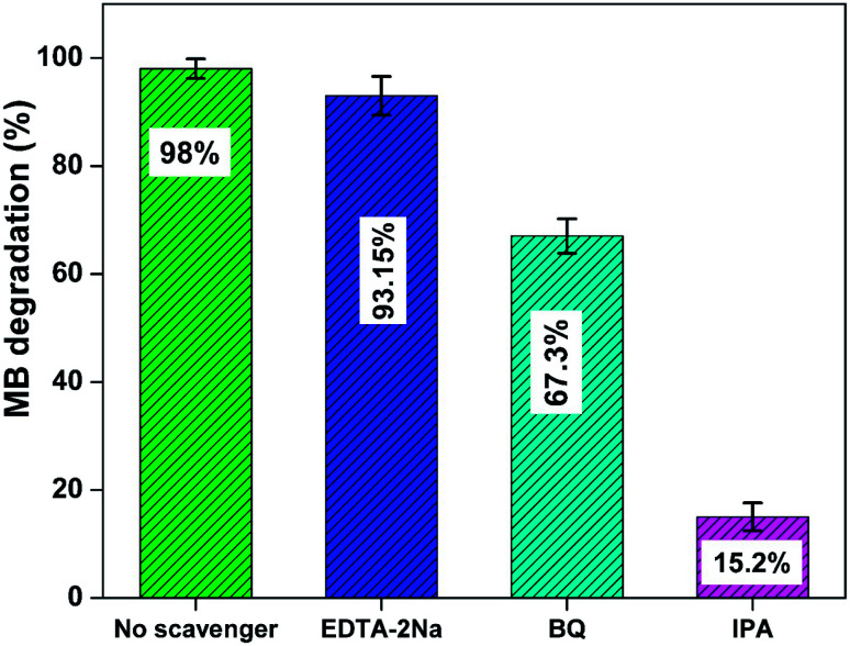 Fig. 10