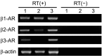 Fig. 9.