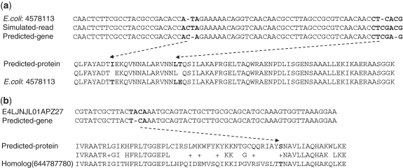 Figure 4.