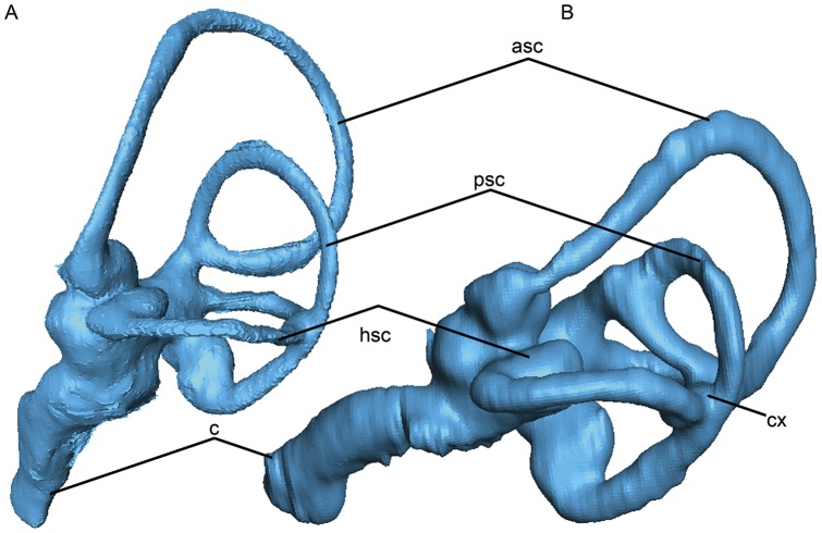 Figure 15