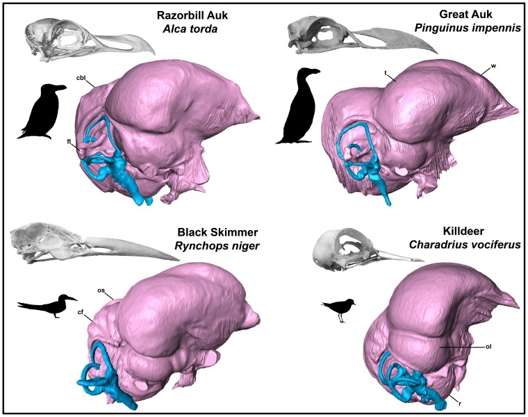 Figure 16