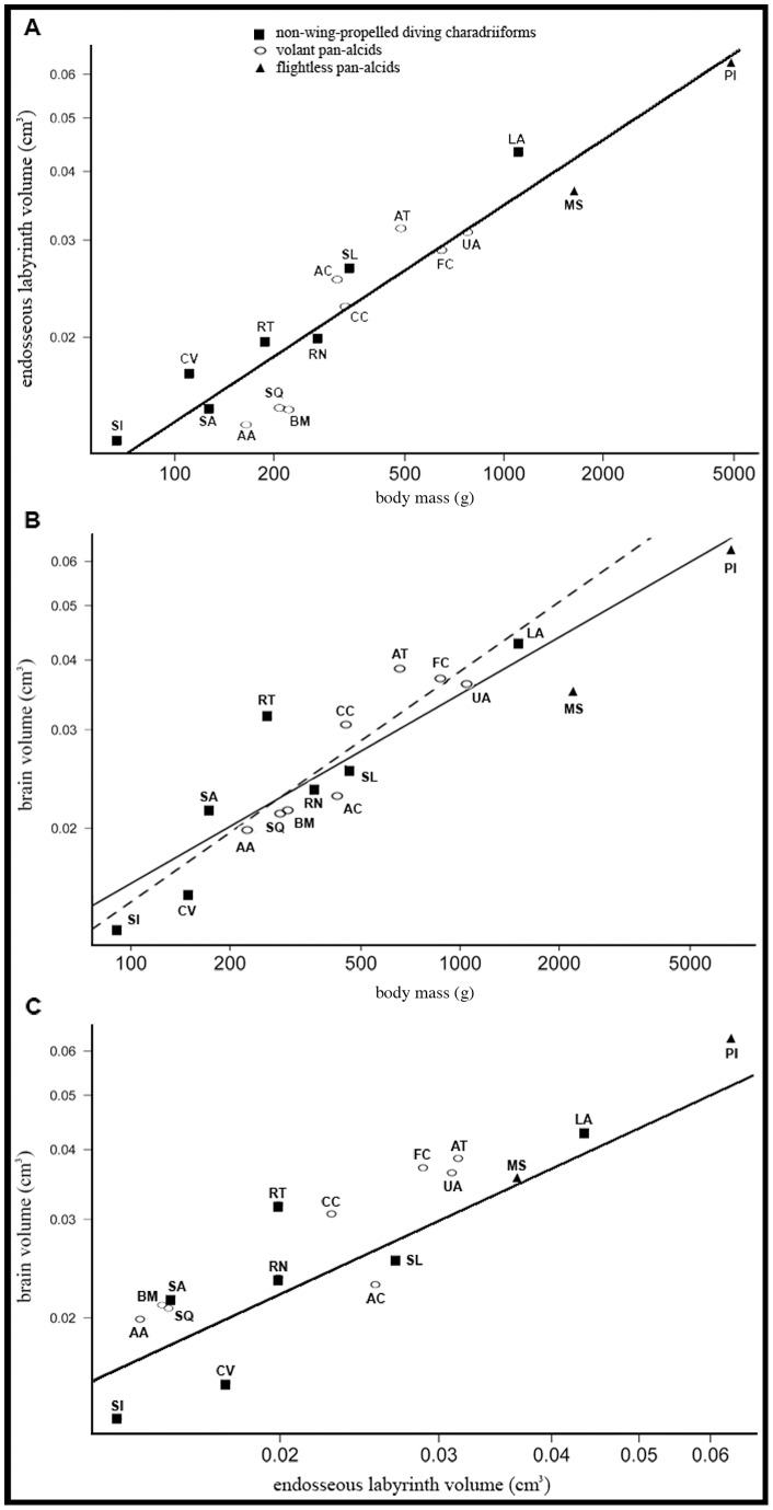 Figure 12