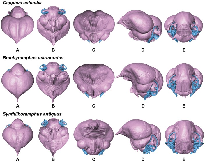 Figure 10