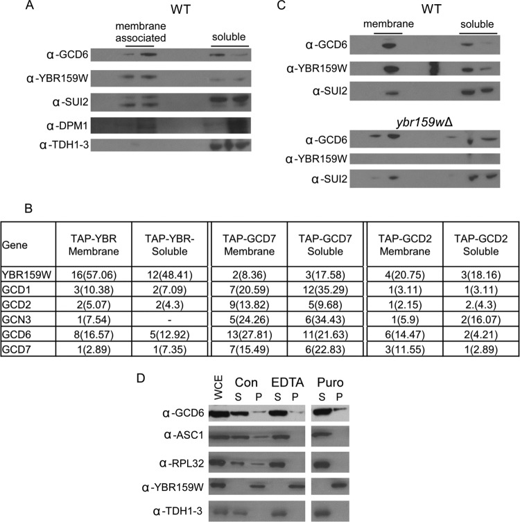 Fig 10