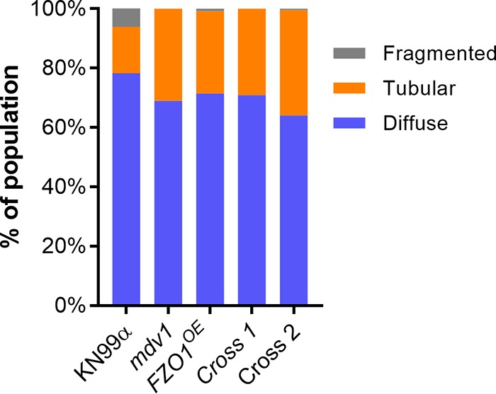 FIG 5