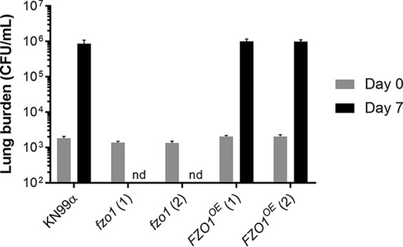 FIG 2