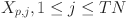 Inline graphic