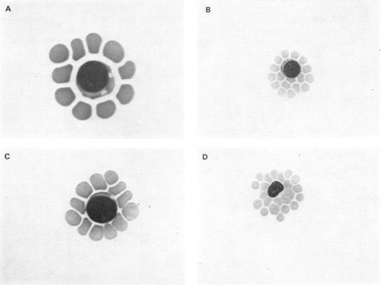 FIG. 8