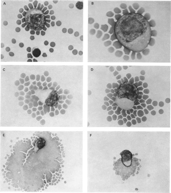 FIG. 5