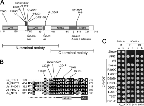 FIGURE 3.