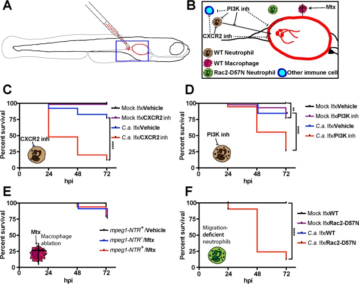 FIG 1