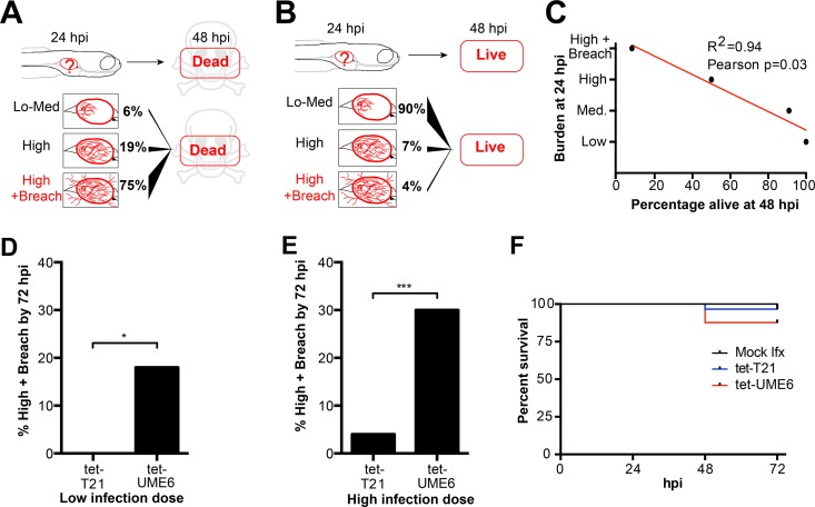 FIG 3