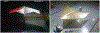 Figure 5:
