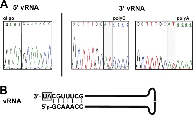 Fig 8