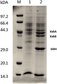 Fig. 3