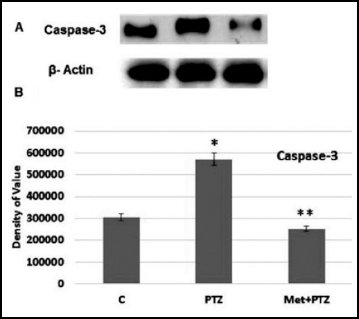 Fig.2