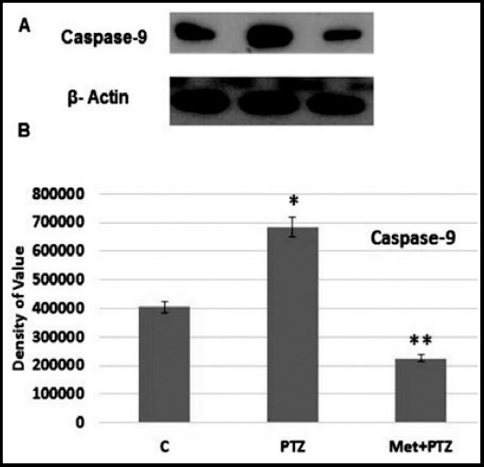 Fig.3