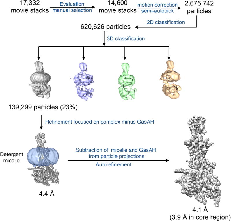 Extended Data Figure 3