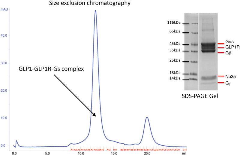 Extended Data Figure 1