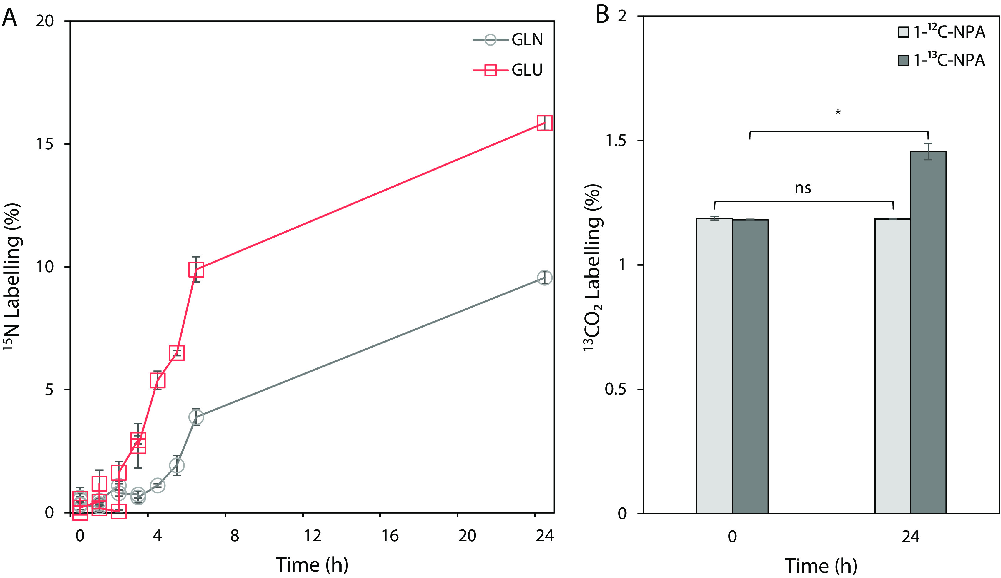 FIG 5