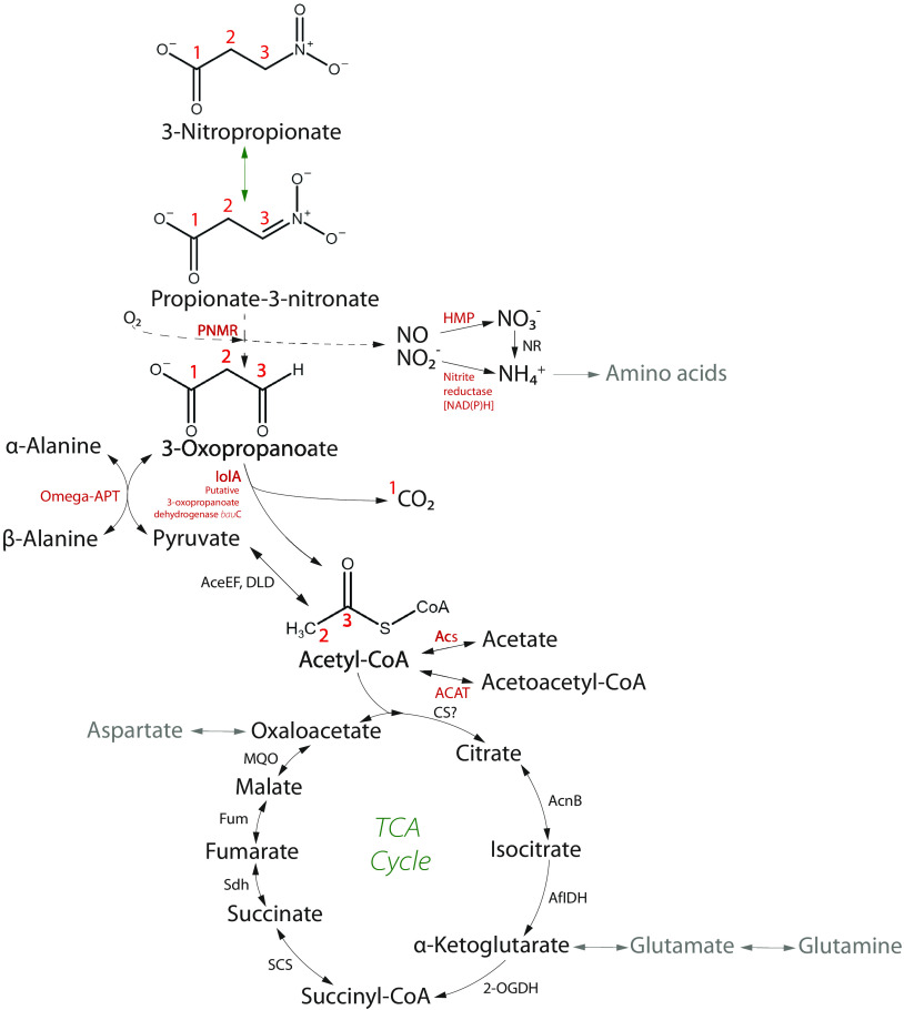 FIG 3