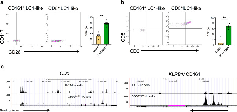 Figure 1—figure supplement 2.