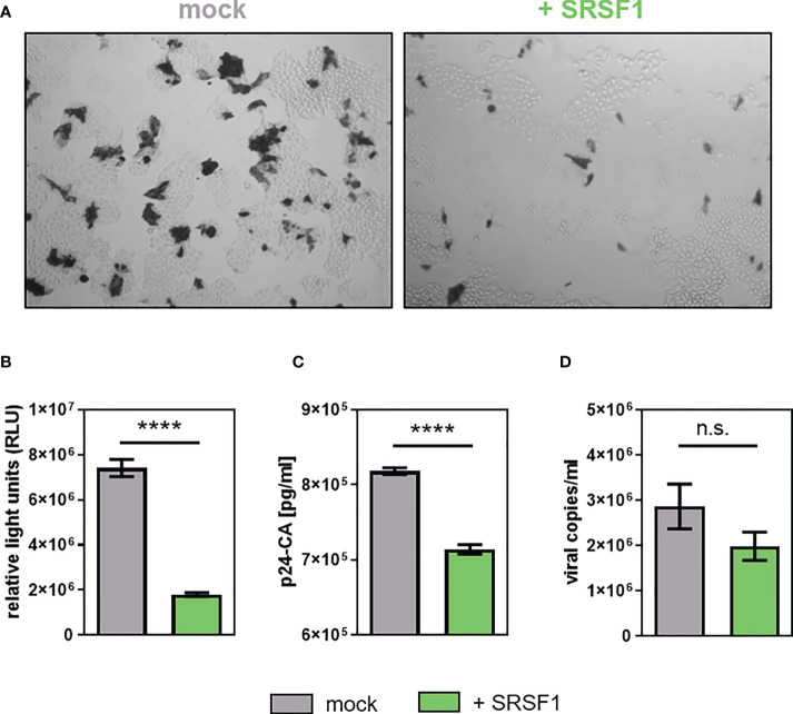 Figure 10