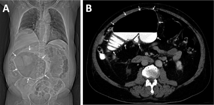 Figure 1.