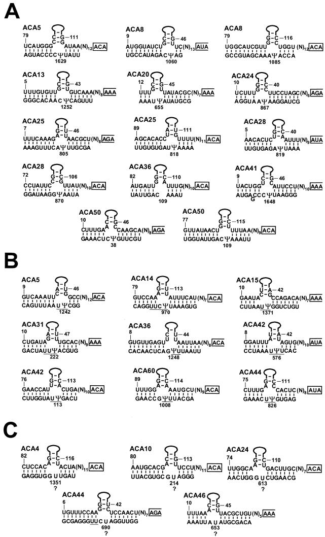 FIG. 2.