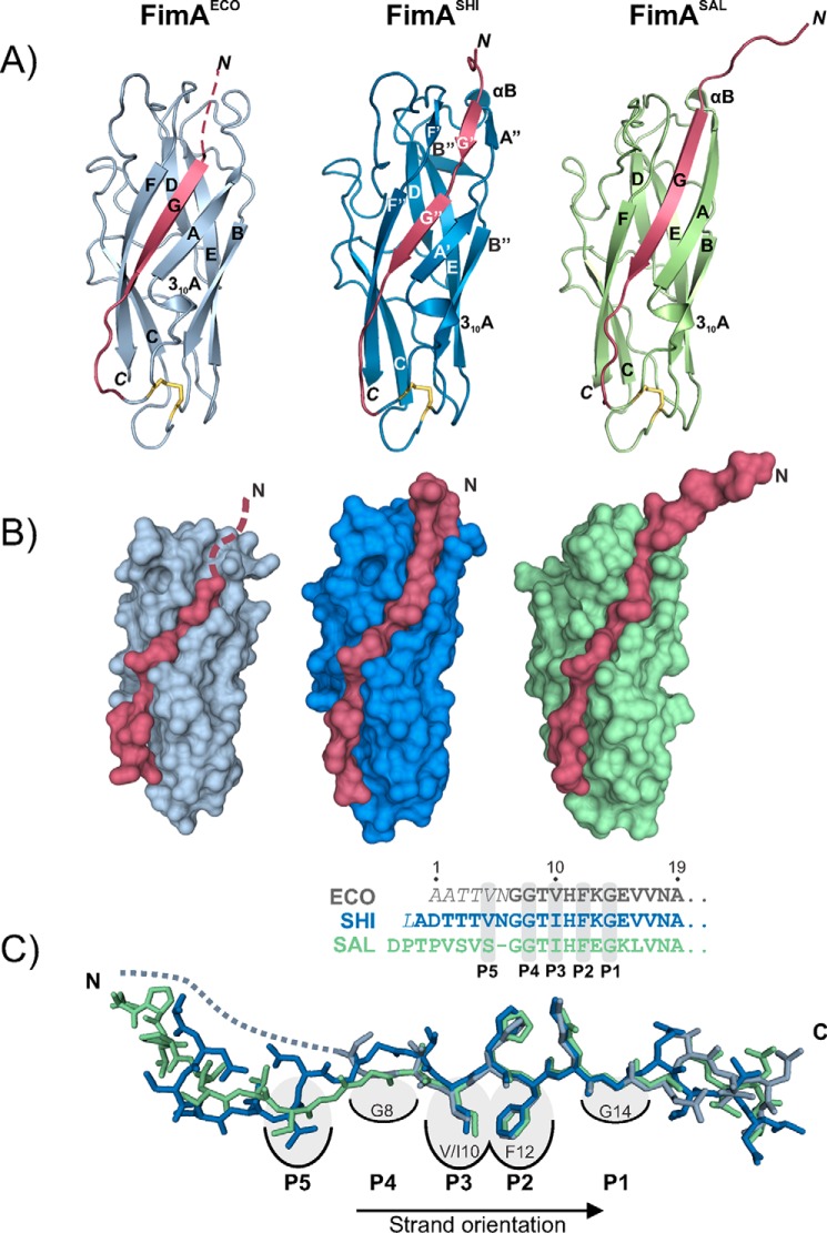 Figure 2.