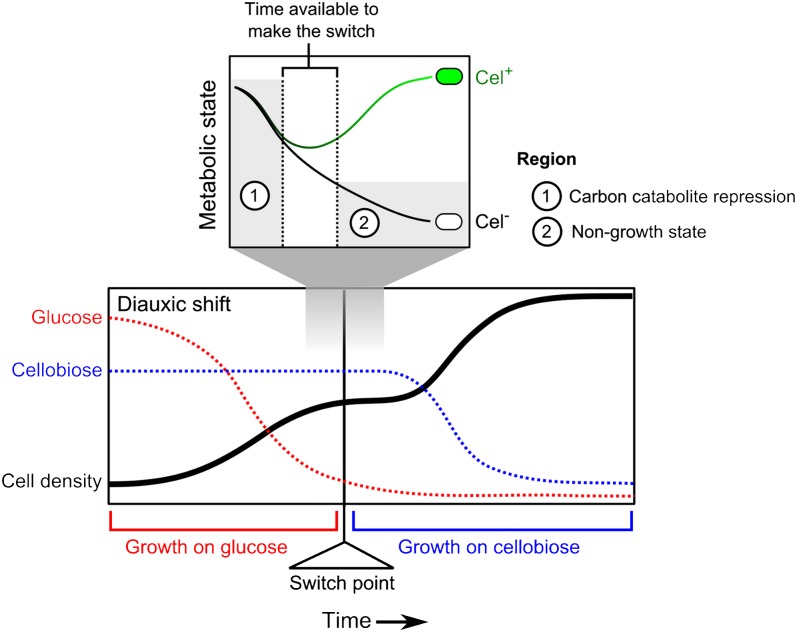 Fig. 4.