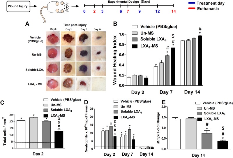 Fig 2