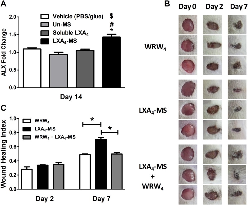 Fig 6