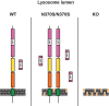 Figure 7: