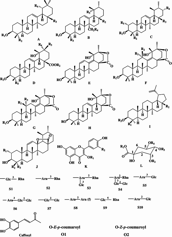 Fig. 1