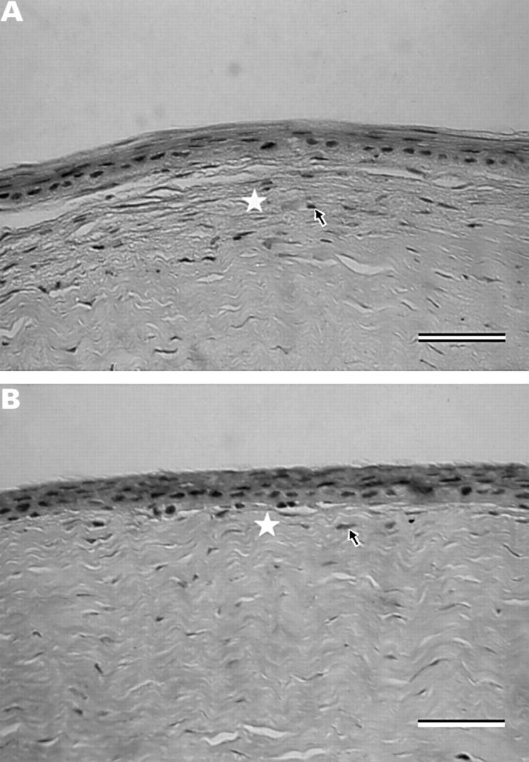 Figure 4  