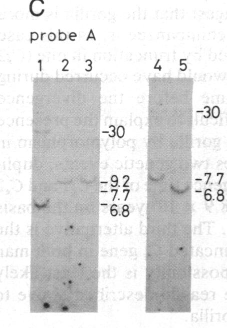 graphic file with name pnas00351-0189-e.jpg